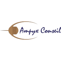 logo AMPYX CONSEIL